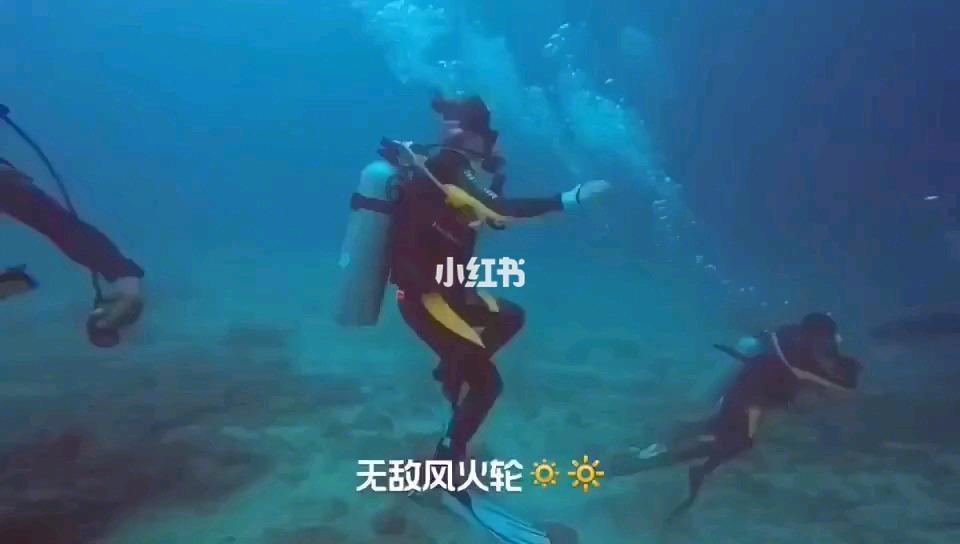 细胞分裂6