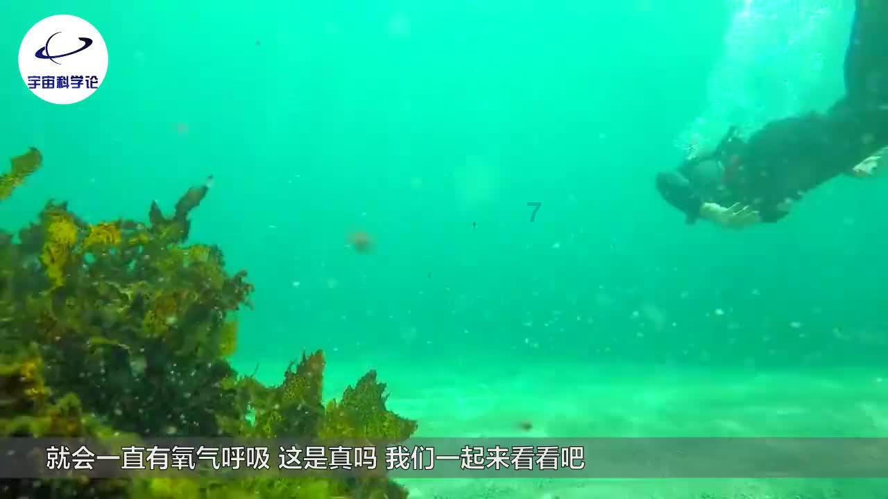 易烊千玺代言咖啡！“买就送小卡”，网友惊：这算是文化入侵吗？