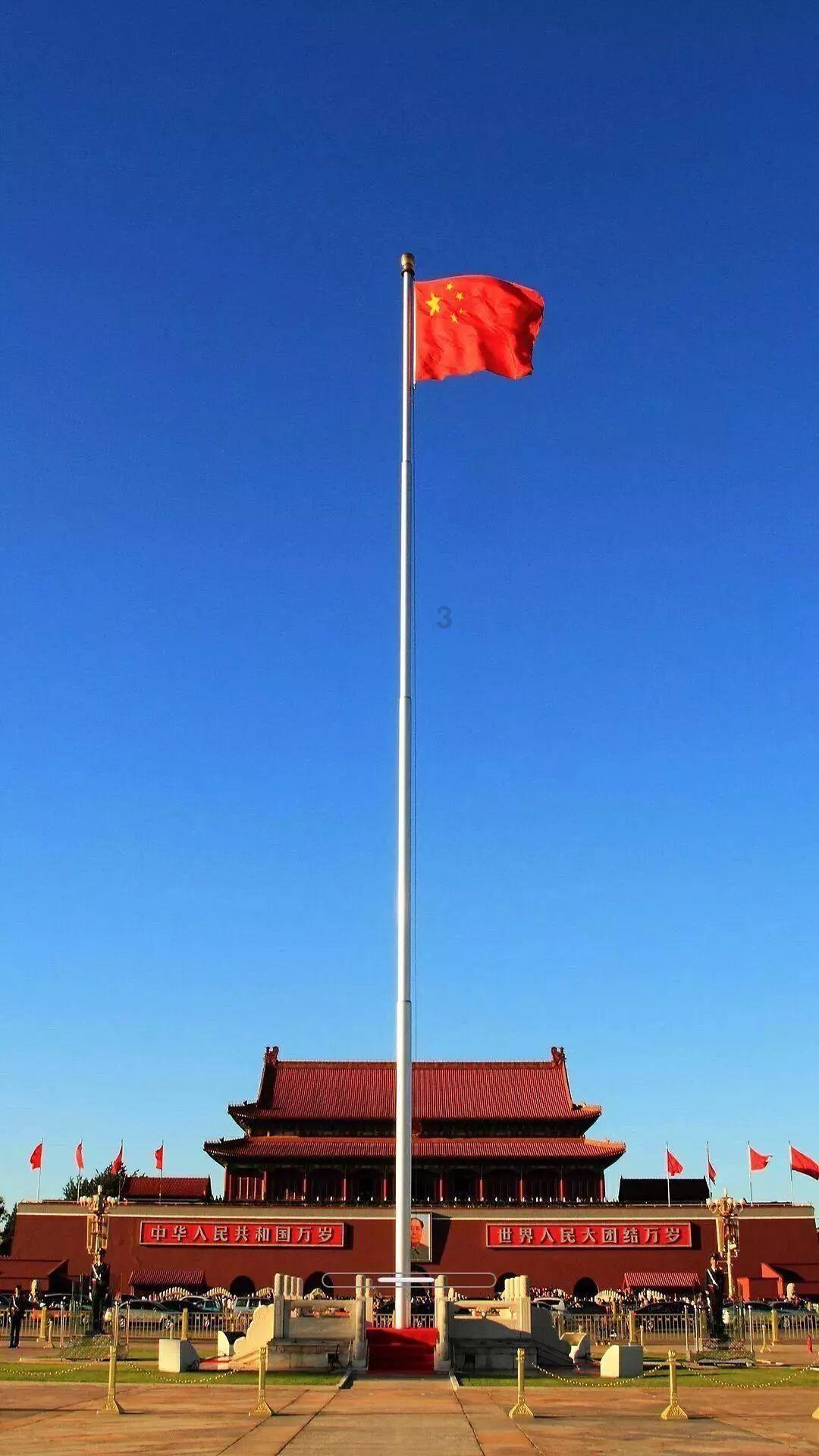 逃出茂密的丛林