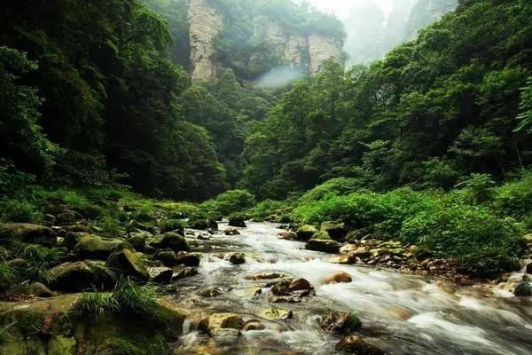 一图读懂山东省检察院工作报告
