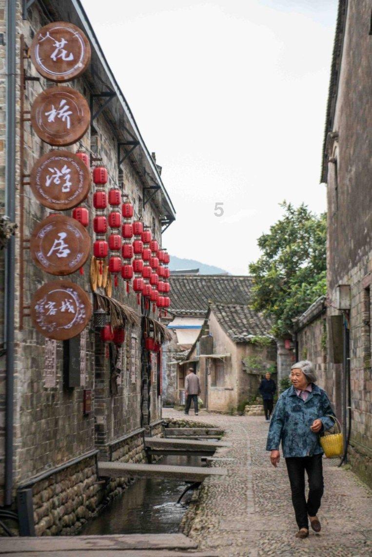 可爱猪救援2